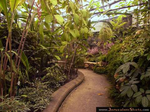 Jerusalem Botanic Garden