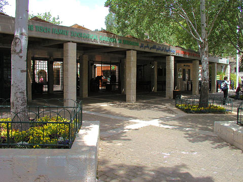 In the Zoo
