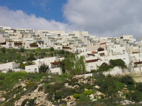 מלחה