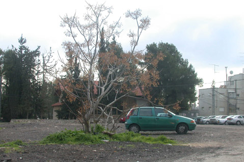 Kiryat Hayovel