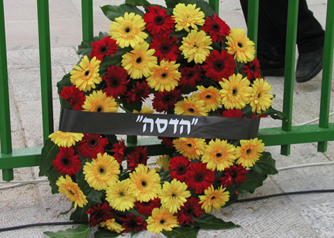 בית חולים הדסה