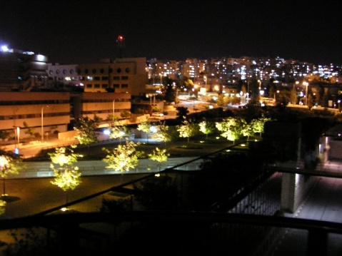 דני ברנוב