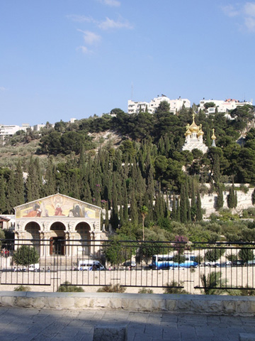 Church of All Nations (foreground) Church of St. Mary Magdelene (background)
