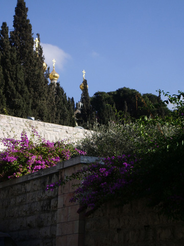  Church of St. Mary Magdelene - Gethsemane
