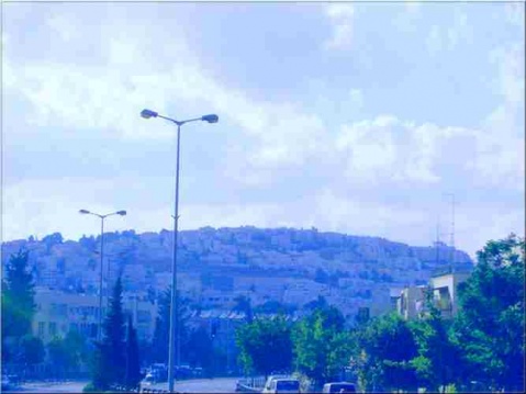 בית וגן