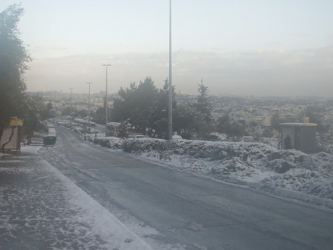 Shavtai Hanegbi