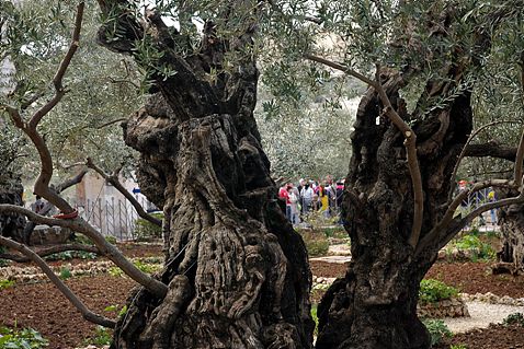 Gethsemane Church