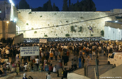 Kotel