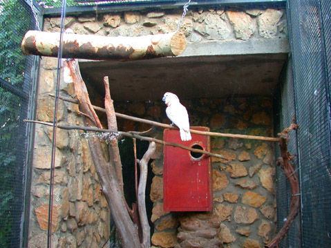 Zoo